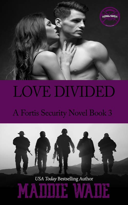 Love Divided Cover