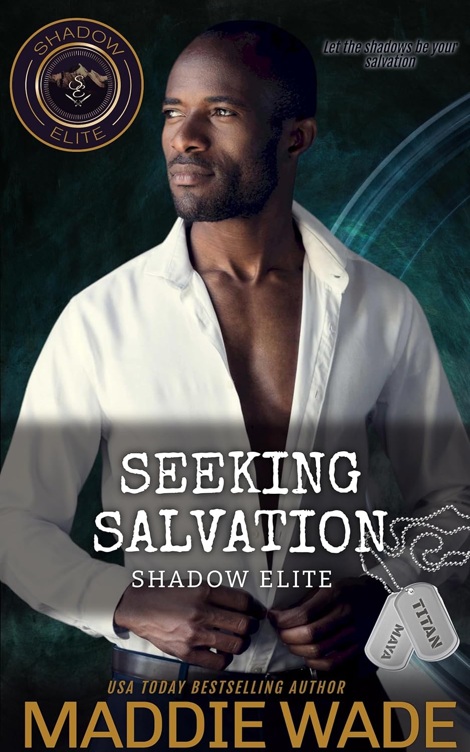 Seeking Salvation Cover